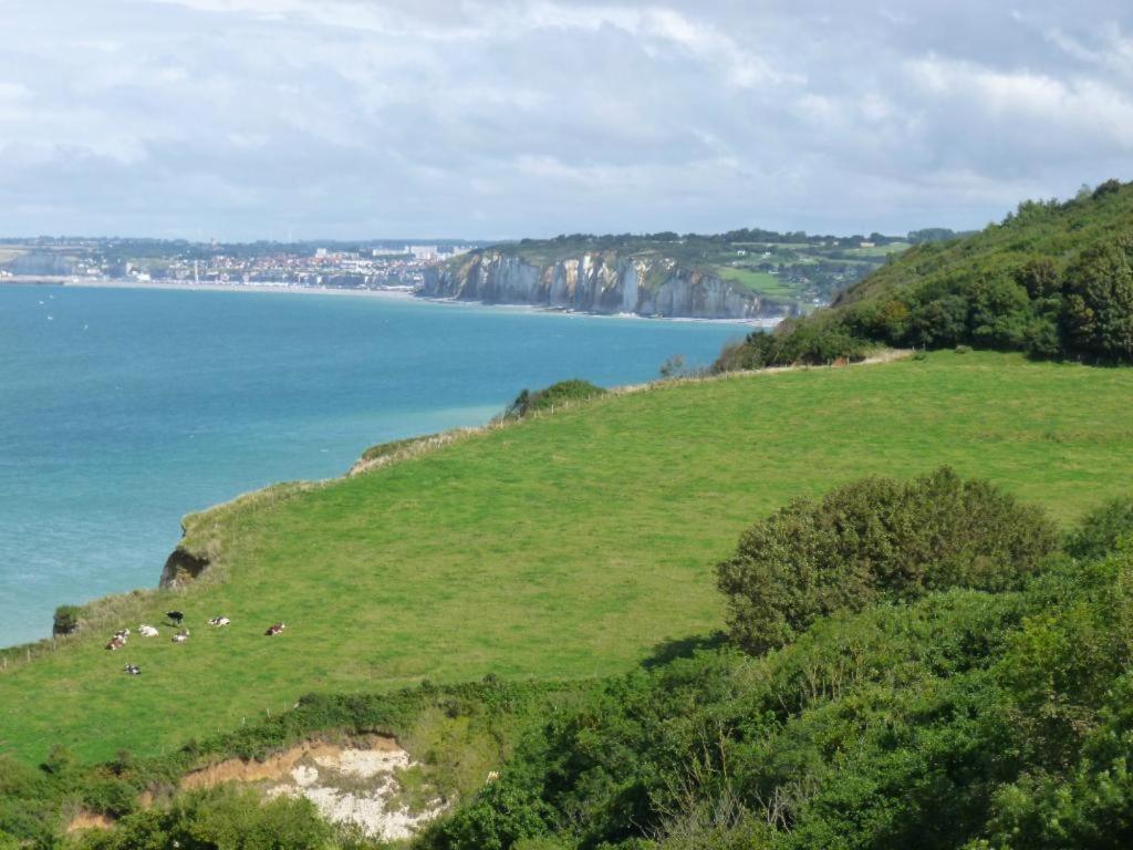 Villa Les Falaises Berneval-le-Grand 外观 照片
