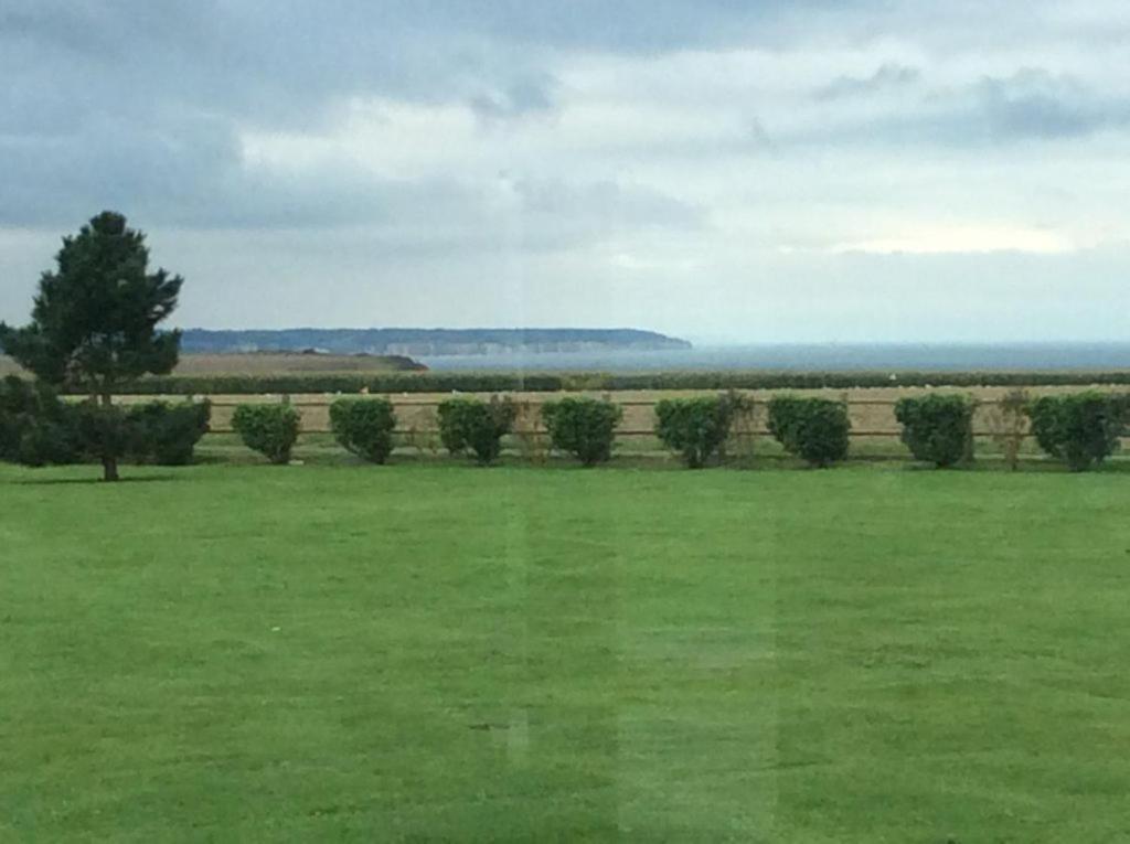 Villa Les Falaises Berneval-le-Grand 外观 照片