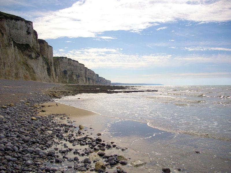 Villa Les Falaises Berneval-le-Grand 外观 照片