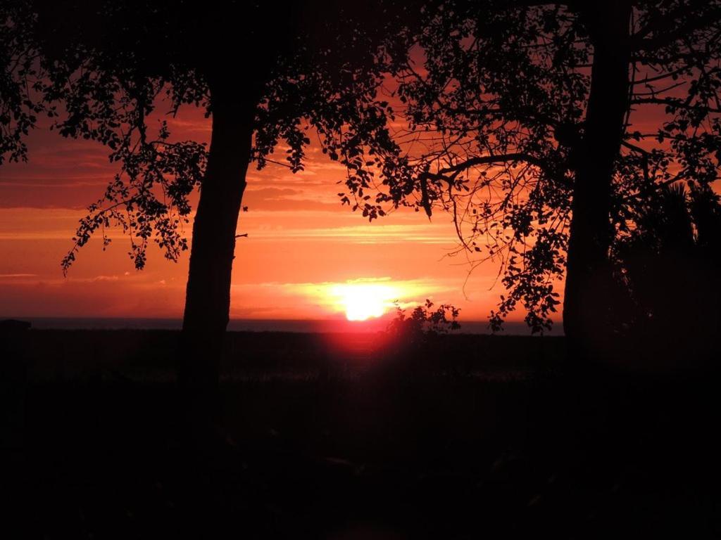Villa Les Falaises Berneval-le-Grand 外观 照片